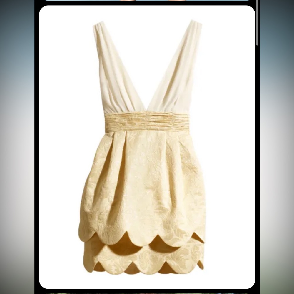 H&M Conscious Limited Party Collection Tulip Scallop Dress - Picture 3 of 5
